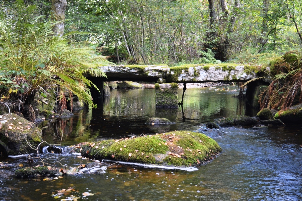 Pont planche
